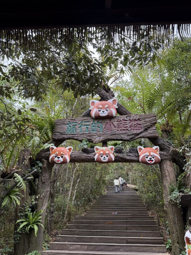 普洱太阳河森林公园旅行图片 2
