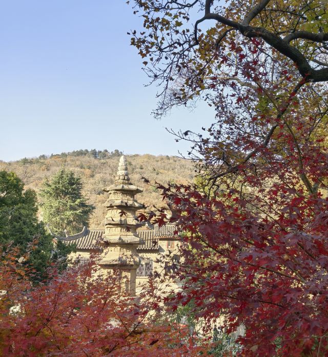 栖霞山风景名胜区旅行图片 1