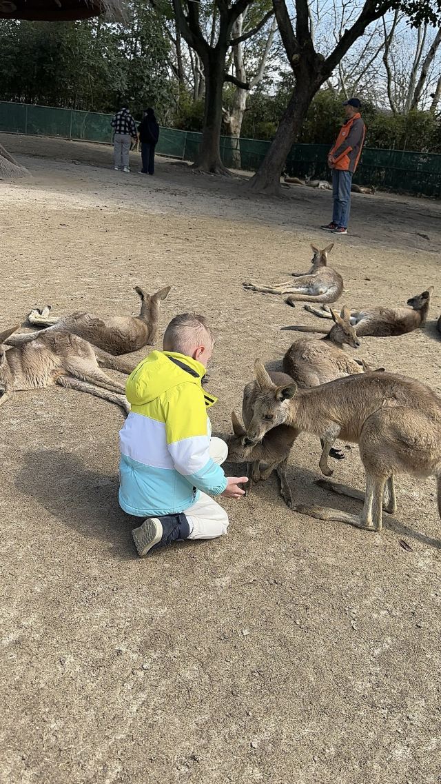 上海野生动物园旅行图片 8