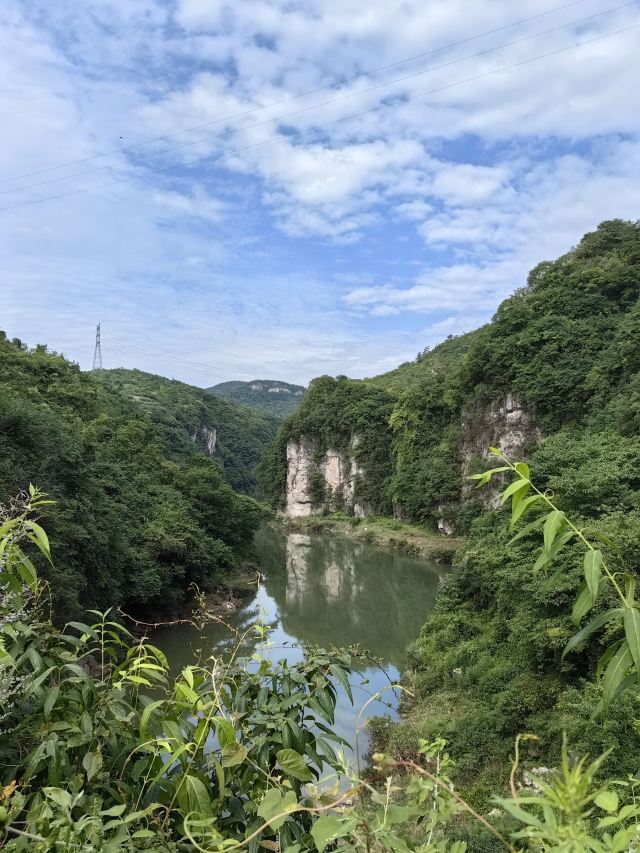 洒金公园旅行图片 5