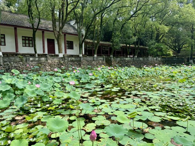 李白文化园旅行图片 3
