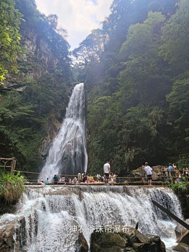 炎陵县神农谷国家森林公园旅行图片 1