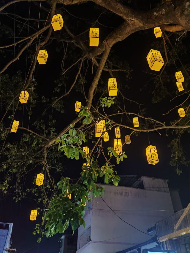 普洱国家公园犀牛坪景区旅行图片 1