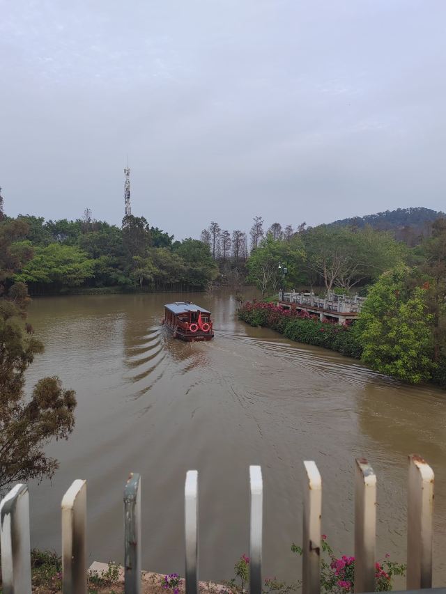 小鸟天堂旅行图片 1