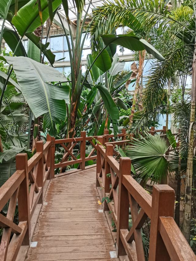 石家庄植物园旅行图片 7