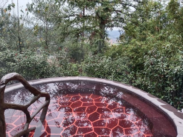 贺州西溪森林温泉度假村游玩攻略简介,贺州西溪森林温泉度假村门票/地址/图片/开放时间/照片/门票价格【携程攻略】