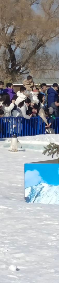 大黑河-呼和浩特-YoYo_6H9I5V0G