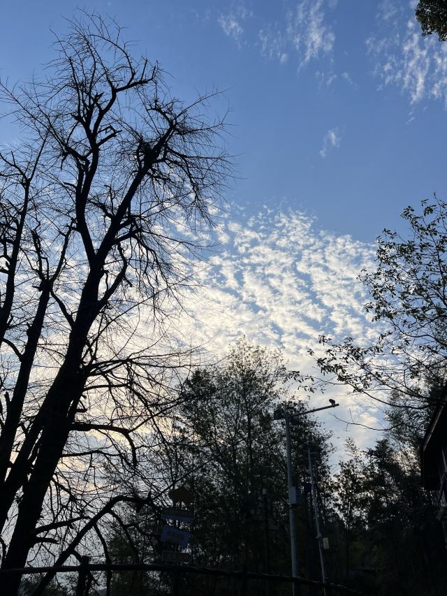 万安高岭宿集风景区旅行图片 3