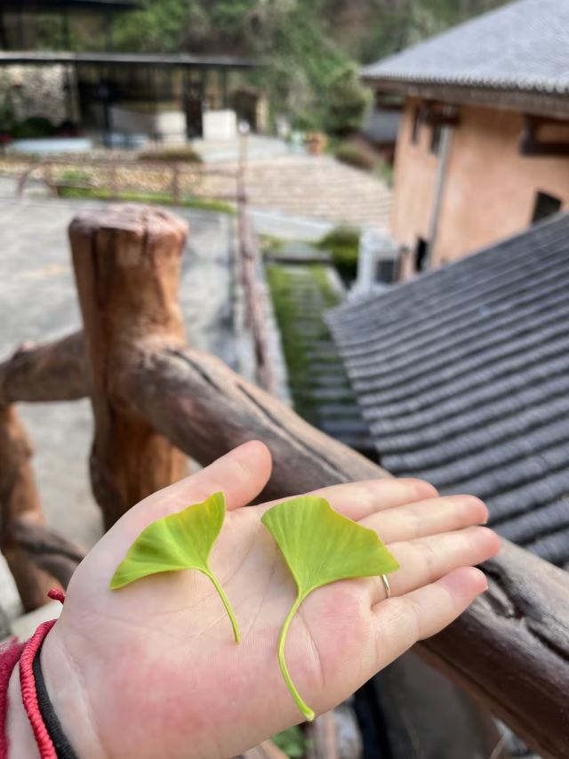 万安高岭宿集风景区旅行图片 1