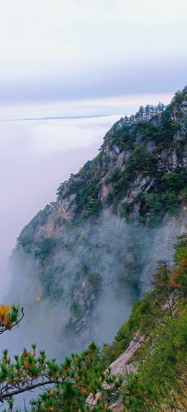 天岳幕阜山森林公园旅行图片 1