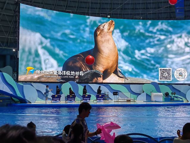 徐州欧乐堡海洋极地世界旅行图片 1