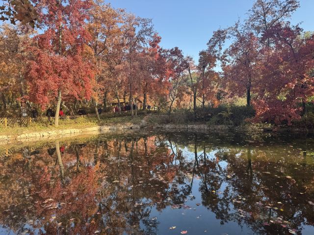 天平山风景名胜区旅行图片 1