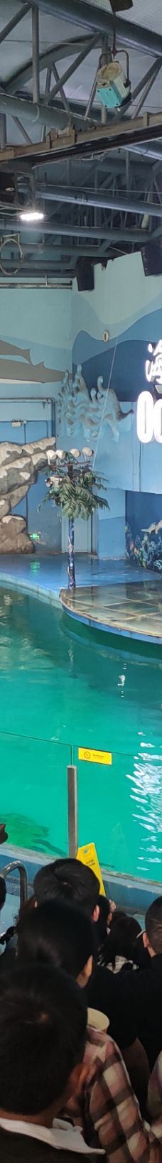 苏州海洋馆-苏州-YoYo_1D1H0I5C