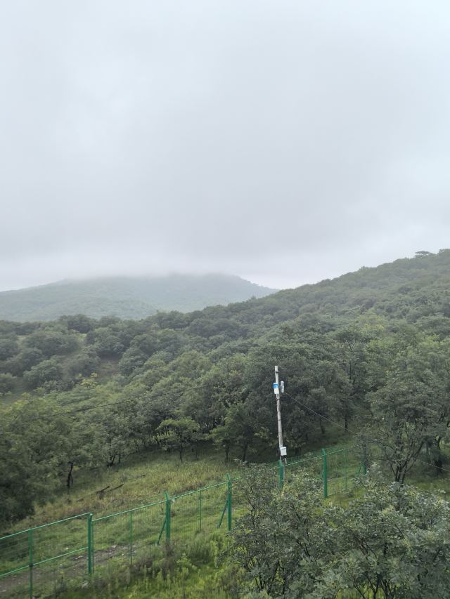 琅琊山森林漂流(暂停开放)旅行图片 2
