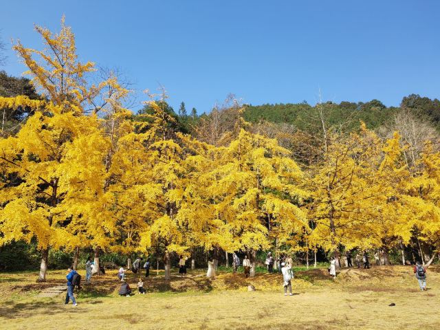 南雄帽子峰旅游景区旅行图片 1