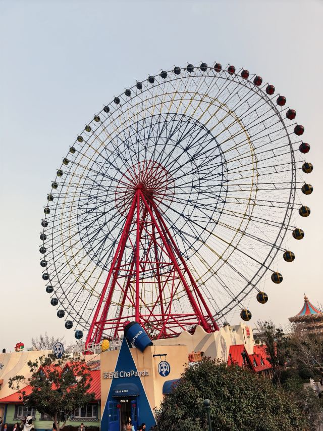 郑州海昌海洋公园旅行图片 9