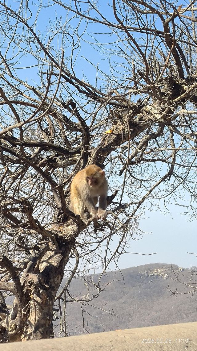 花果山风景区旅行图片 1