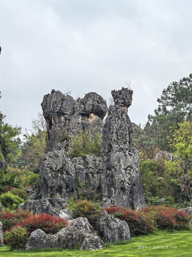 石林风景区旅行图片 2