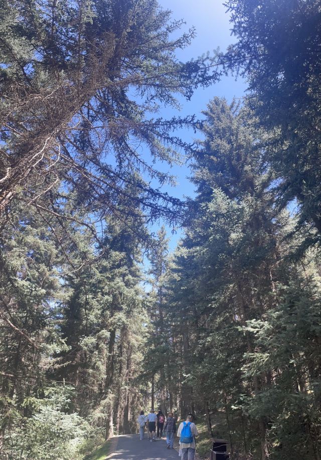焉支山(暂停开放)旅行图片 2