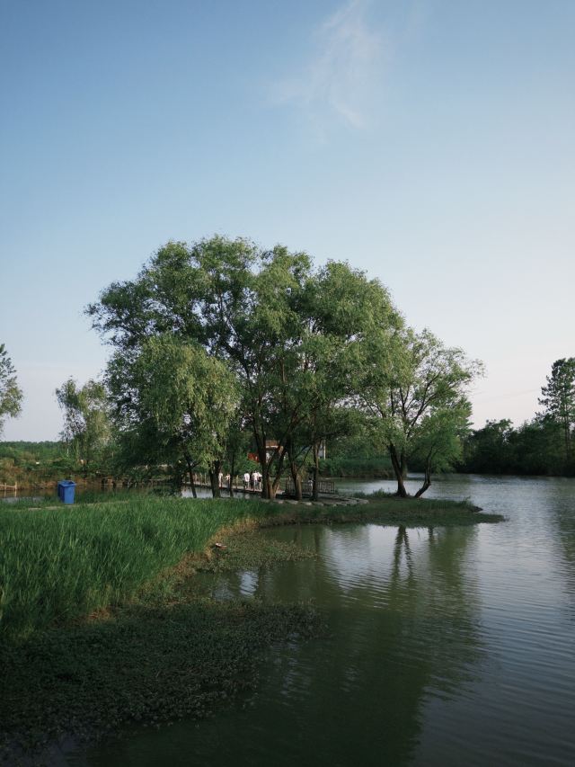 池杉湖国家湿地公园旅行图片 2