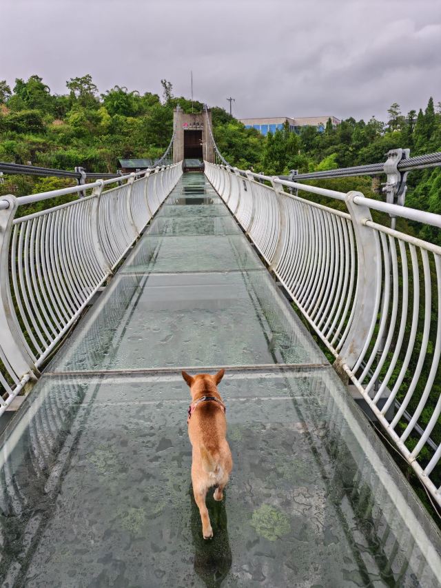 洒金公园旅行图片 2