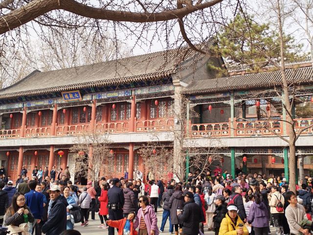 大观园旅行图片 2