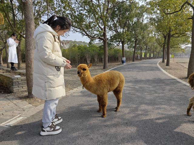 自然卷卷牧野旅行图片 1