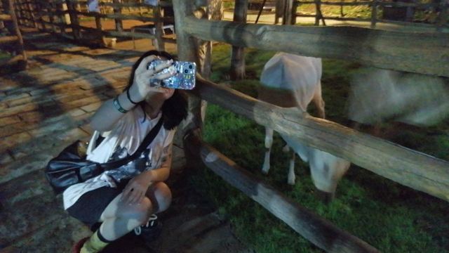 鹿鸣谷景区旅行图片 4