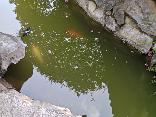 口岸雕花楼景区旅行图片 4