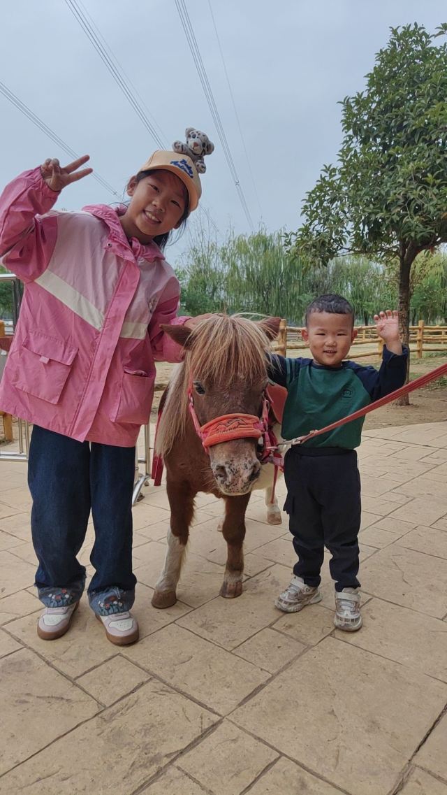 武汉野生动物王国旅行图片 3