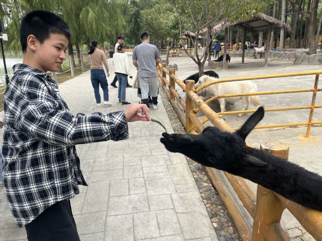 武汉野生动物王国旅行图片 6