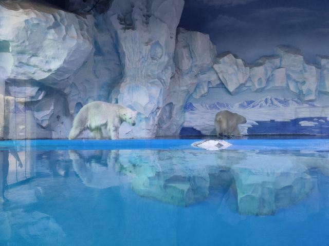 徐州欧乐堡海洋极地世界旅行图片 3