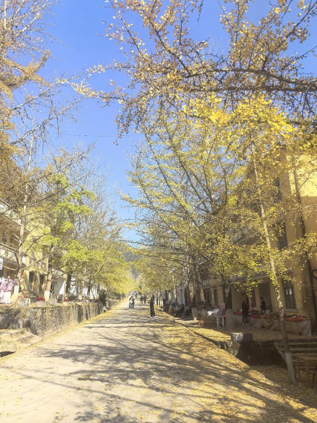南雄帽子峰旅游景区旅行图片 4