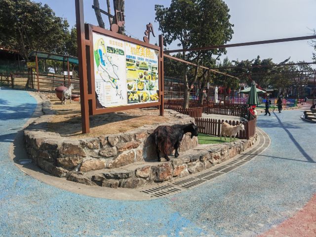 音乐·百花谷旅行图片 4