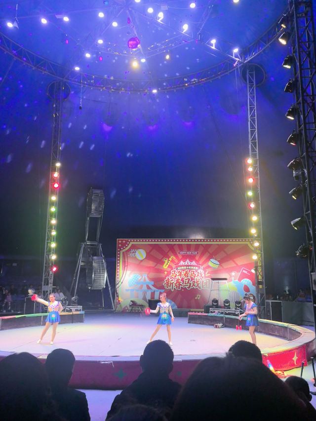 松鼠小镇旅行图片 3