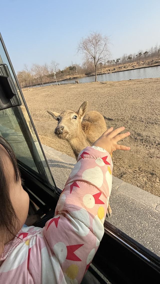 中华麋鹿园旅行图片 1