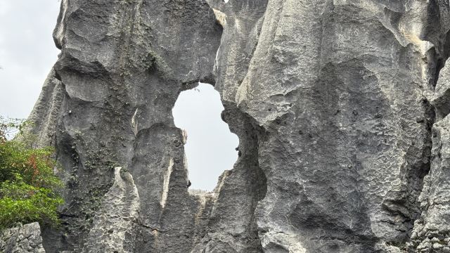 石林风景区旅行图片 8