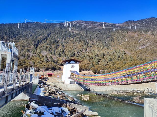 鲁朗林海风景区旅行图片 4