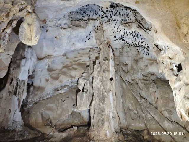 阳明心谷景区旅行图片 4