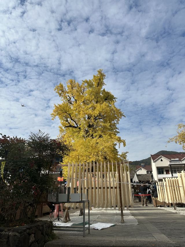 八都岕八都堰旅行图片 4