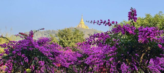 勐巴娜西珍奇园旅行图片 2