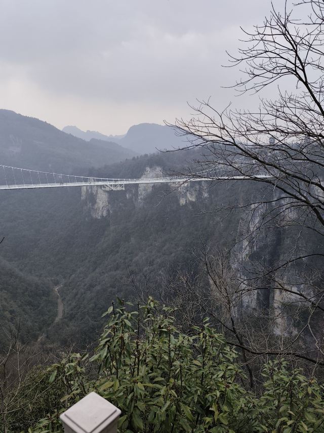 张家界大峡谷旅行图片 5