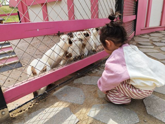舜山小镇旅行图片 4