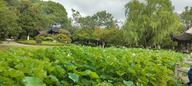 亭林园旅行图片 1