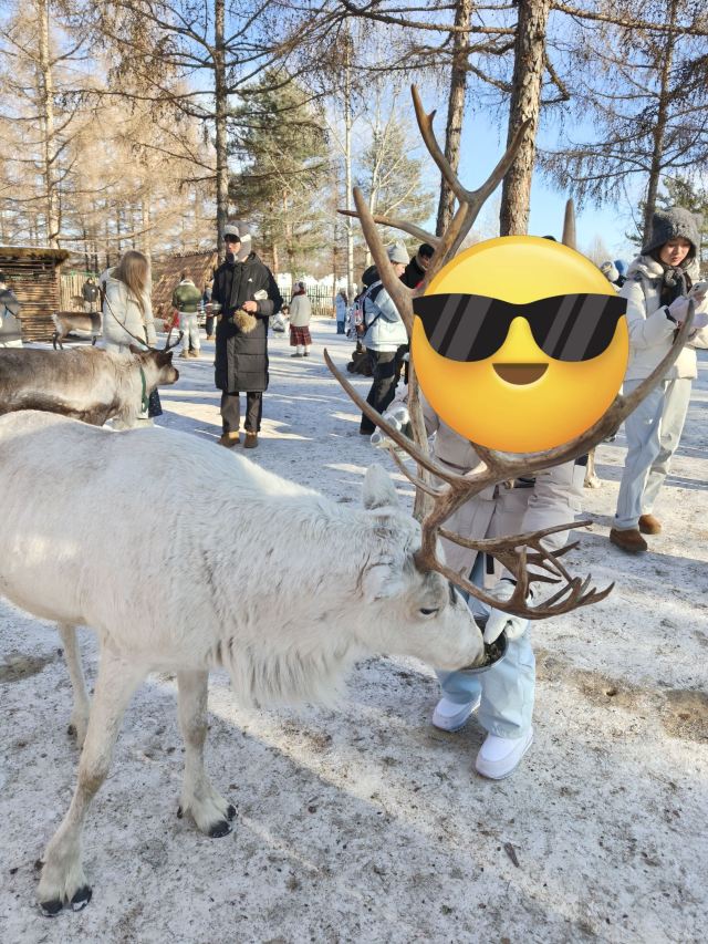 长白山雪绒花驯鹿园旅行图片 1