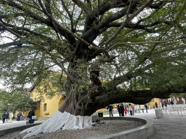 南山风景区旅行图片 2