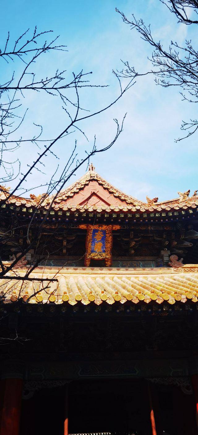 孔庙旅行图片 1