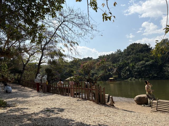 曼听御花园景区旅行图片 5