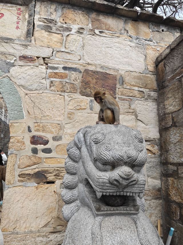 花果山风景区旅行图片 5