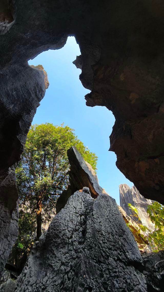 石林风景区旅行图片 3